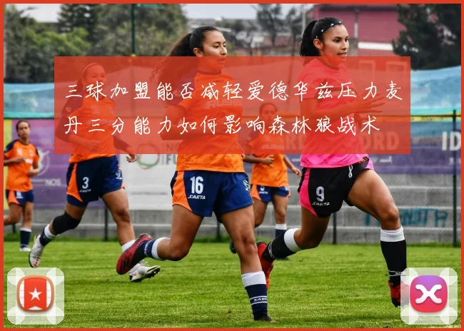 三球加盟能否减轻爱德华兹压力麦丹三分能力如何影响森林狼战术